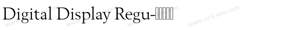 Digital Display Regu字体转换